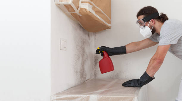Professional Attic Mold Remediation technician working in Ada, MI
