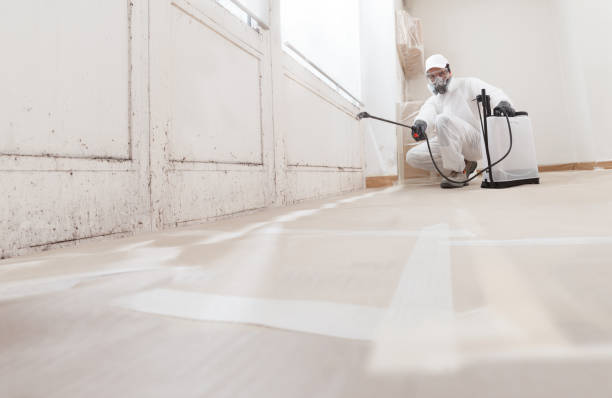 24/7 Emergency Attic Mold Remediation experts in Ada, MI